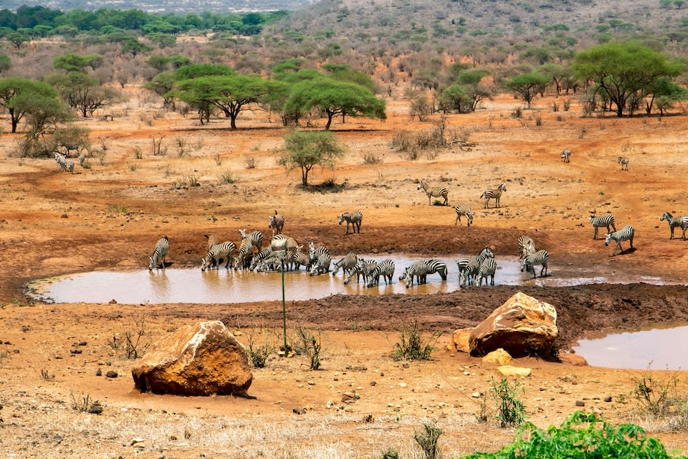 Kilaguni Serena Safari Lodge 1