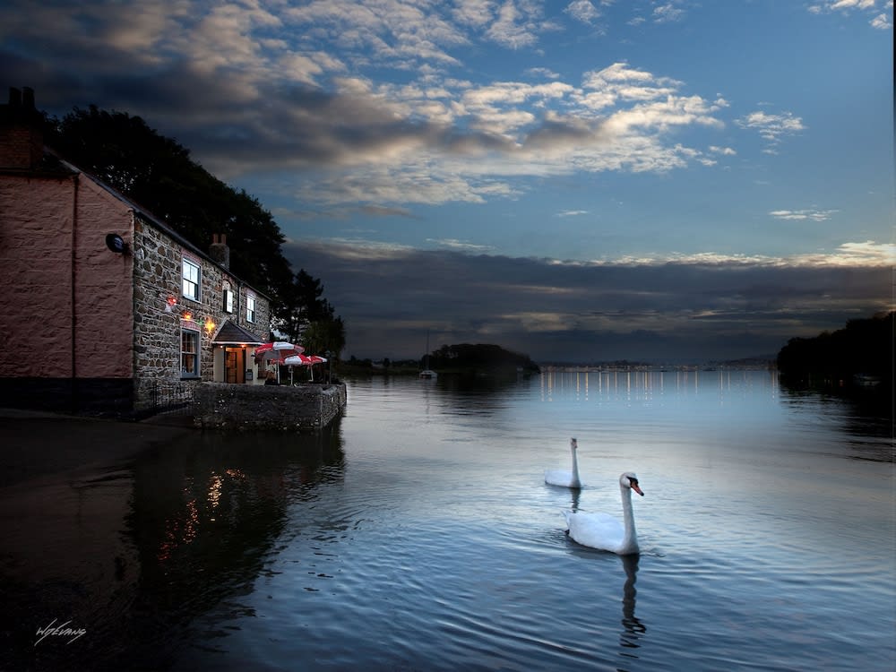 The Wilcove Inn 1