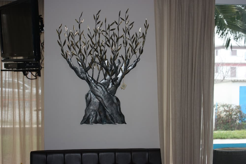 Hotel Cariatis 2