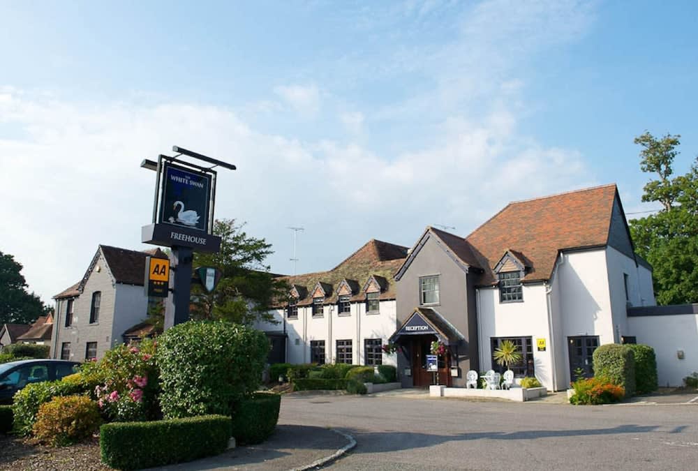 The White Swan 1