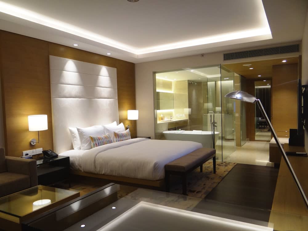 Feathers- A Radha Hotel, Chennai 5