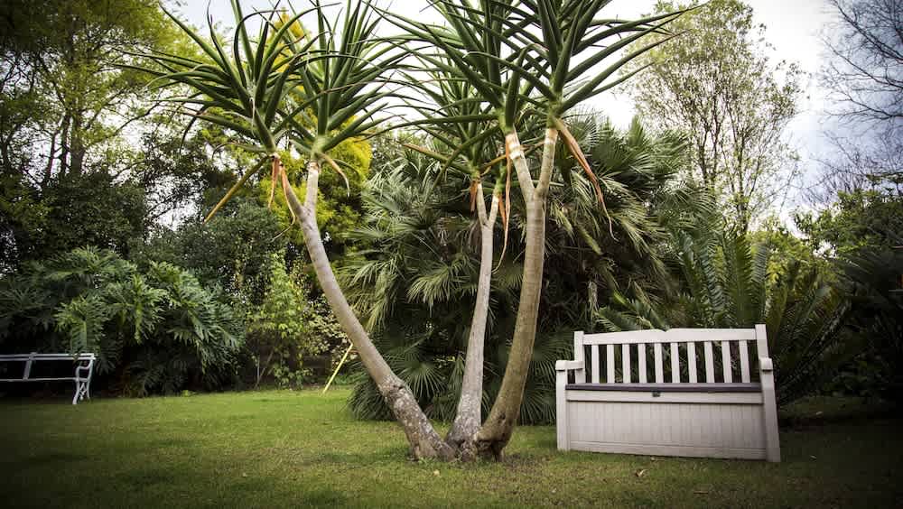 Sunbird Guest House 1