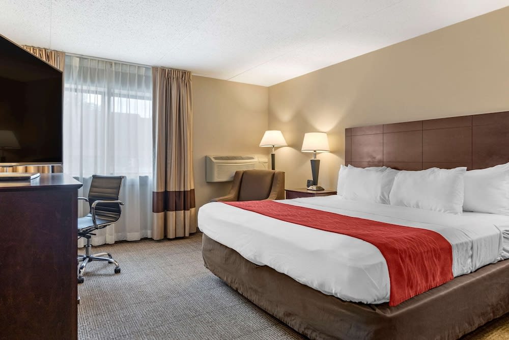 Comfort Inn Lansing West 1