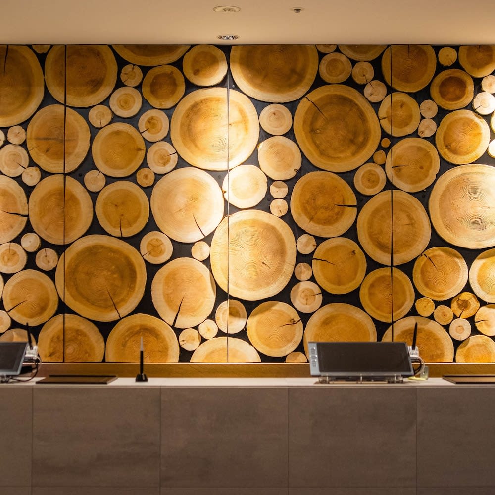 Super Hotel Premier Ginza 5