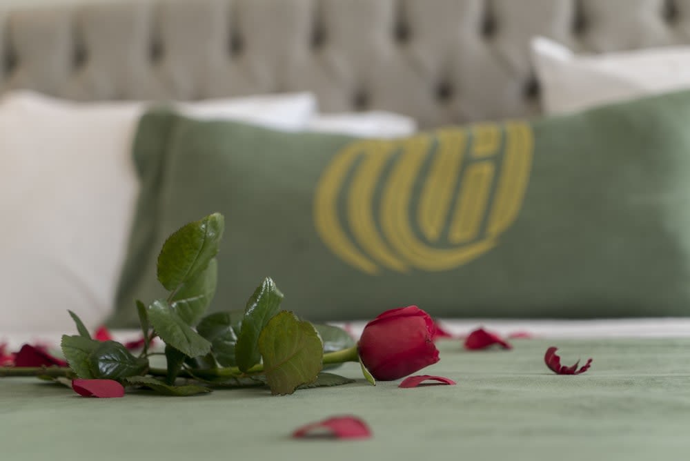 Mirart Hotel Boutique & SPA Yalova 2
