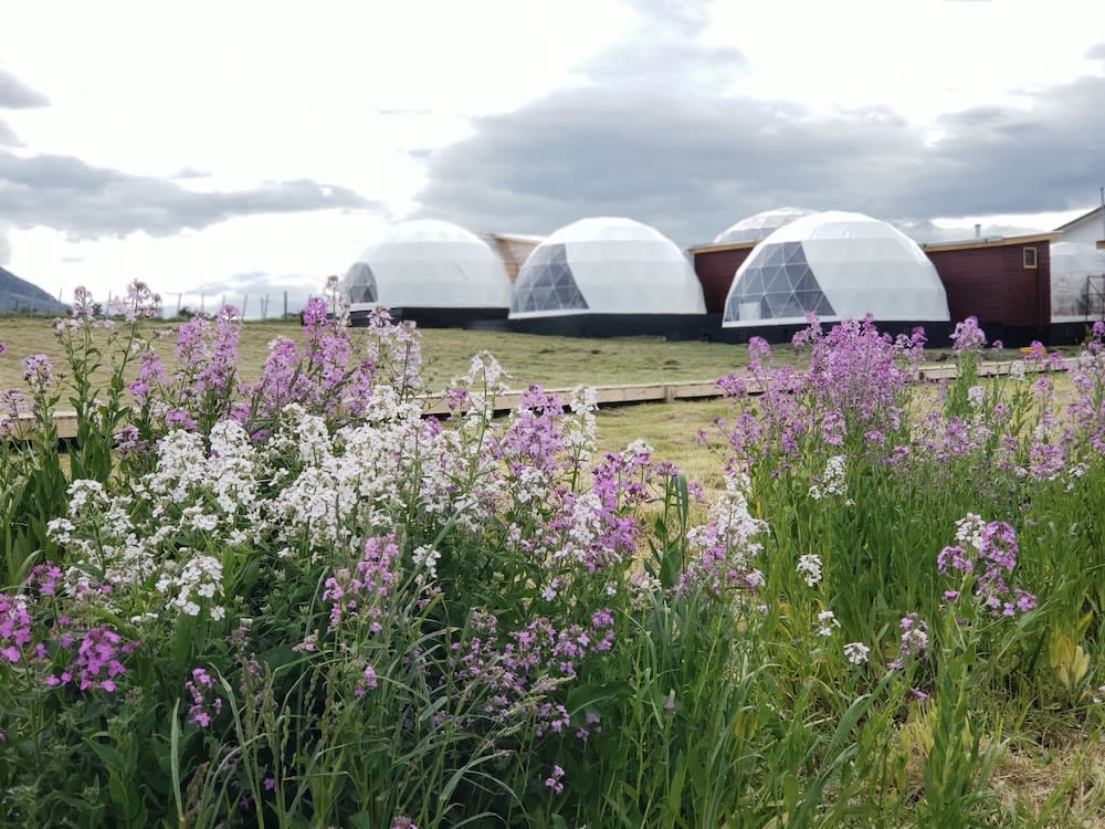 Garden Domes 1