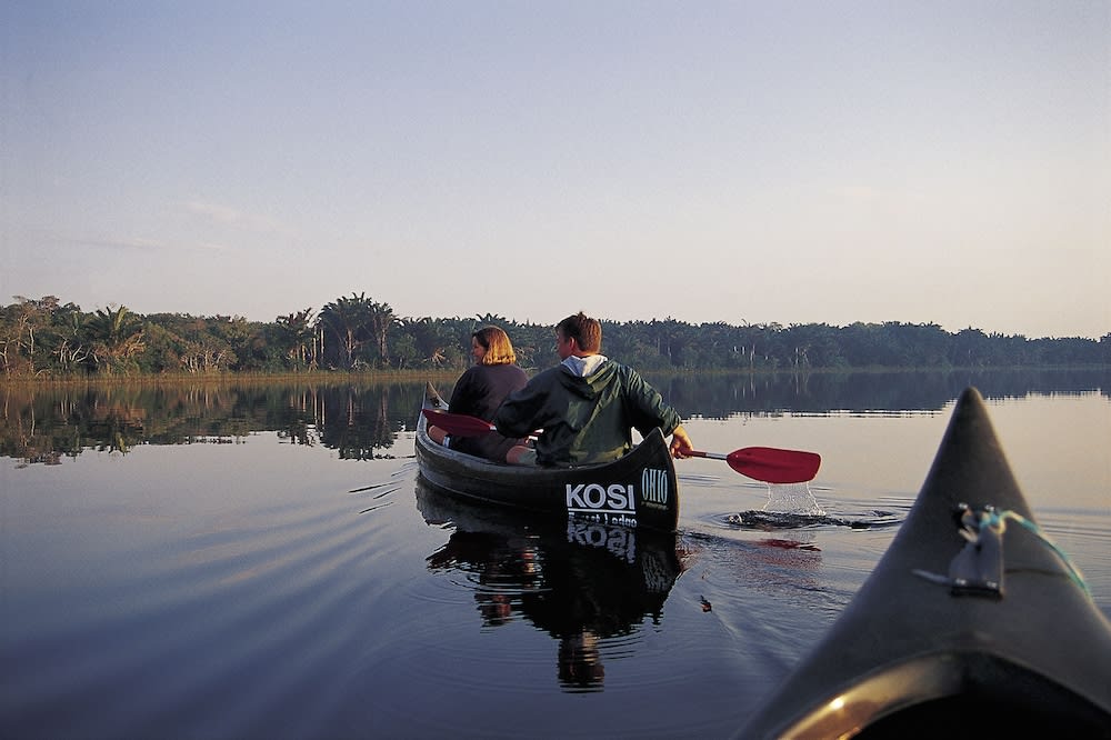 Kosi Forest Lodge 1