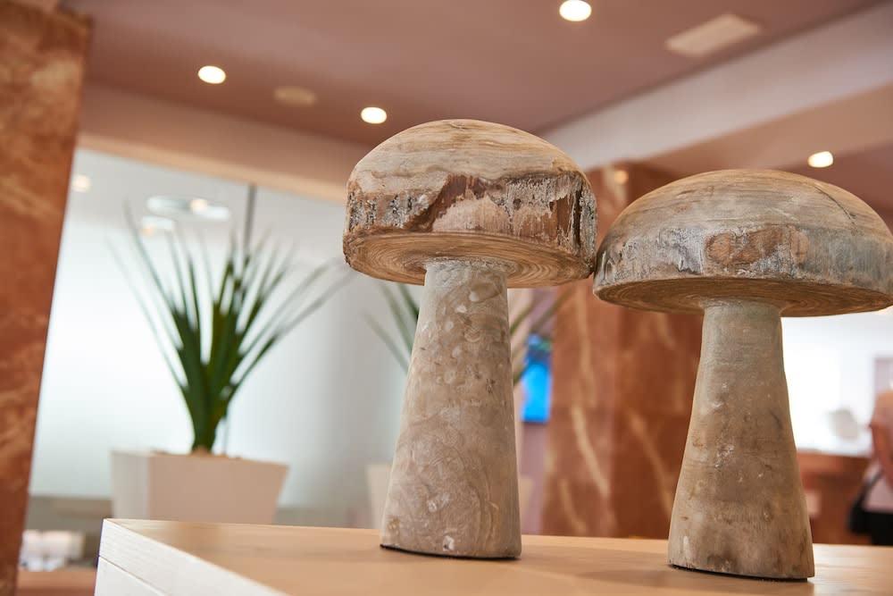 Protur Bonamar Hotel - Adults Only 3