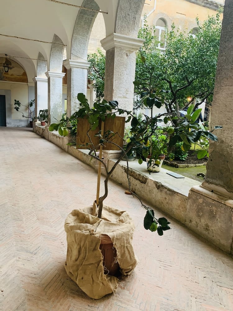 Relais il Chiostro Historic Courtyard & Panoramic Terrace near Sorrento 2