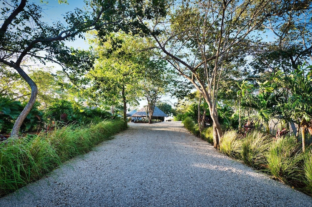 Mikado Natural Lodge 2