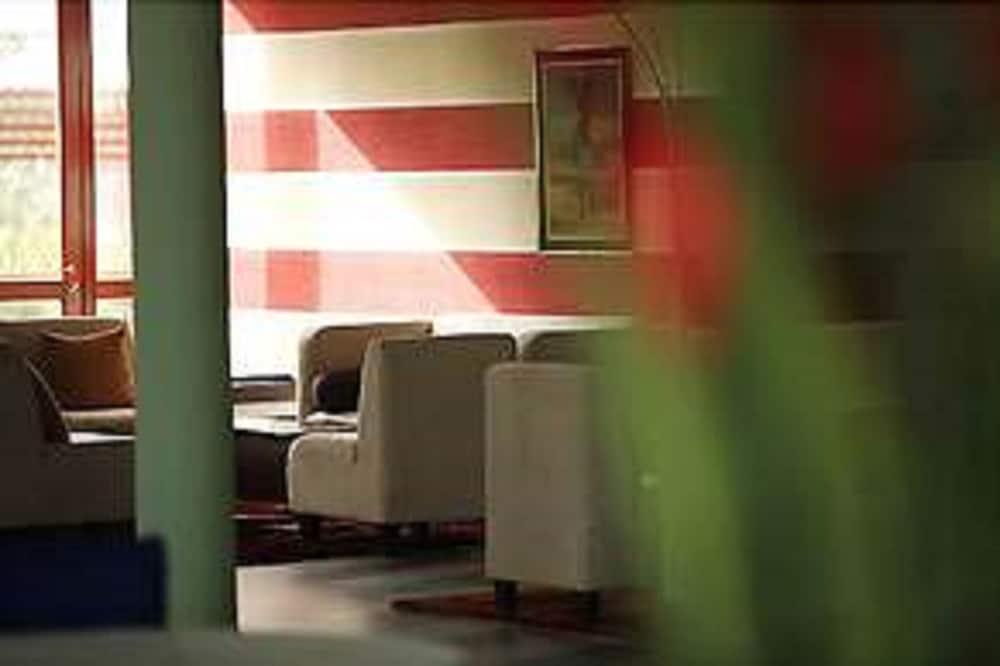 Les Amaryllis Saly 2