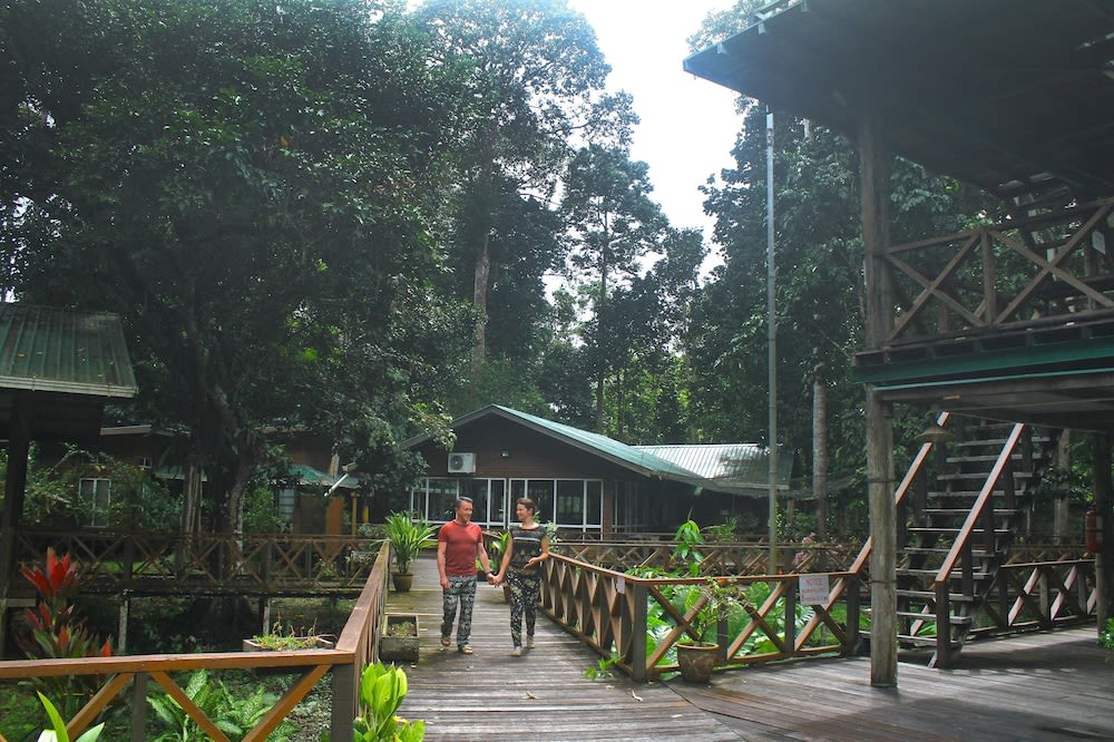 Borneo Nature Lodge 1