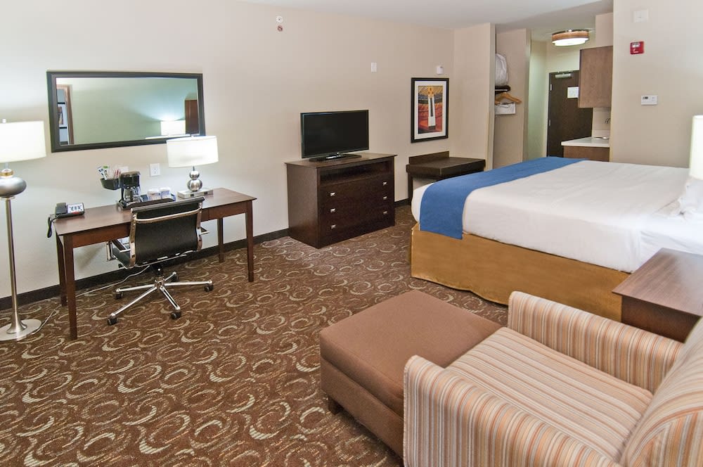 Holiday Inn Express & Suites San Antonio SE By At&t Center by IHG 2