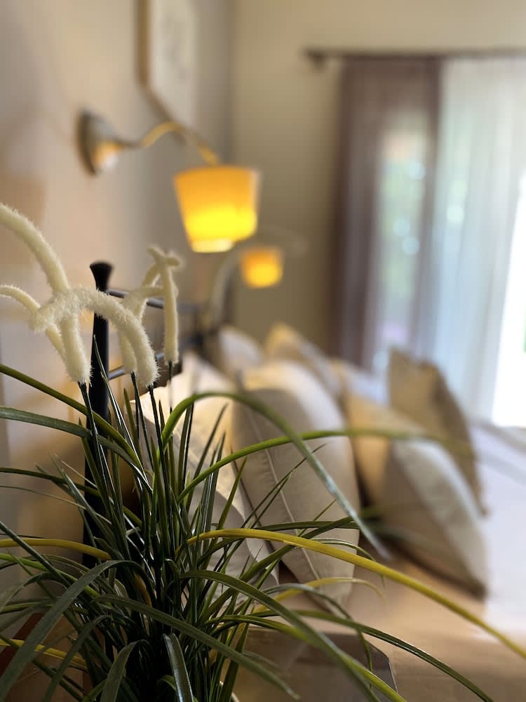 Kaloudis Studios & Apartments 5