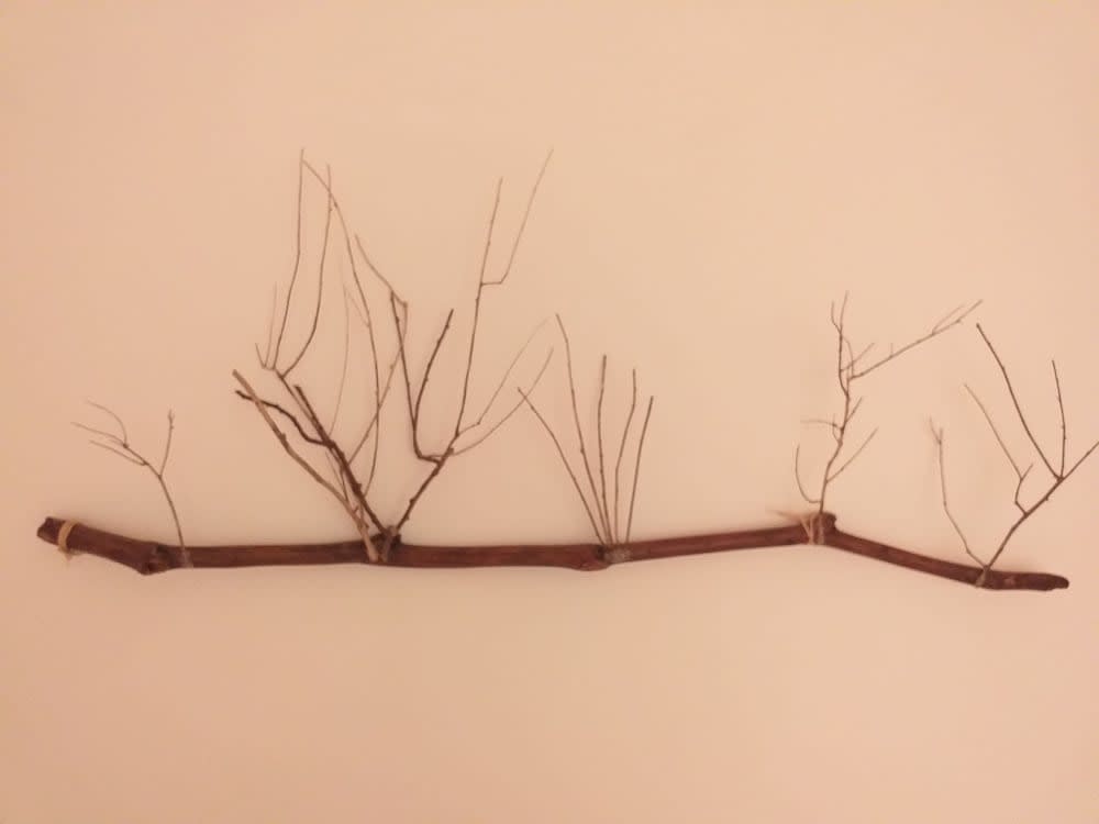 Swyn - The Flat Close To The Beach 5