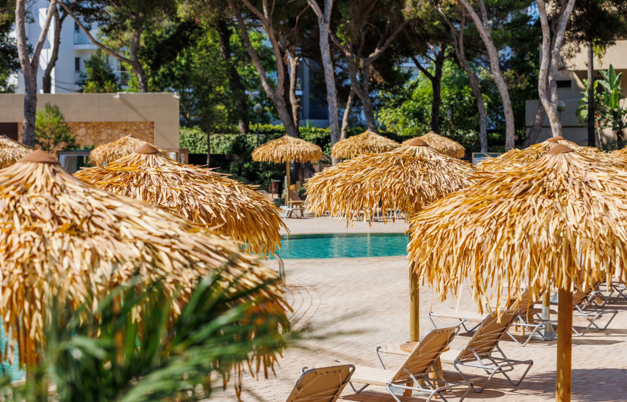 Hotel Aubamar Suites & Spa 2