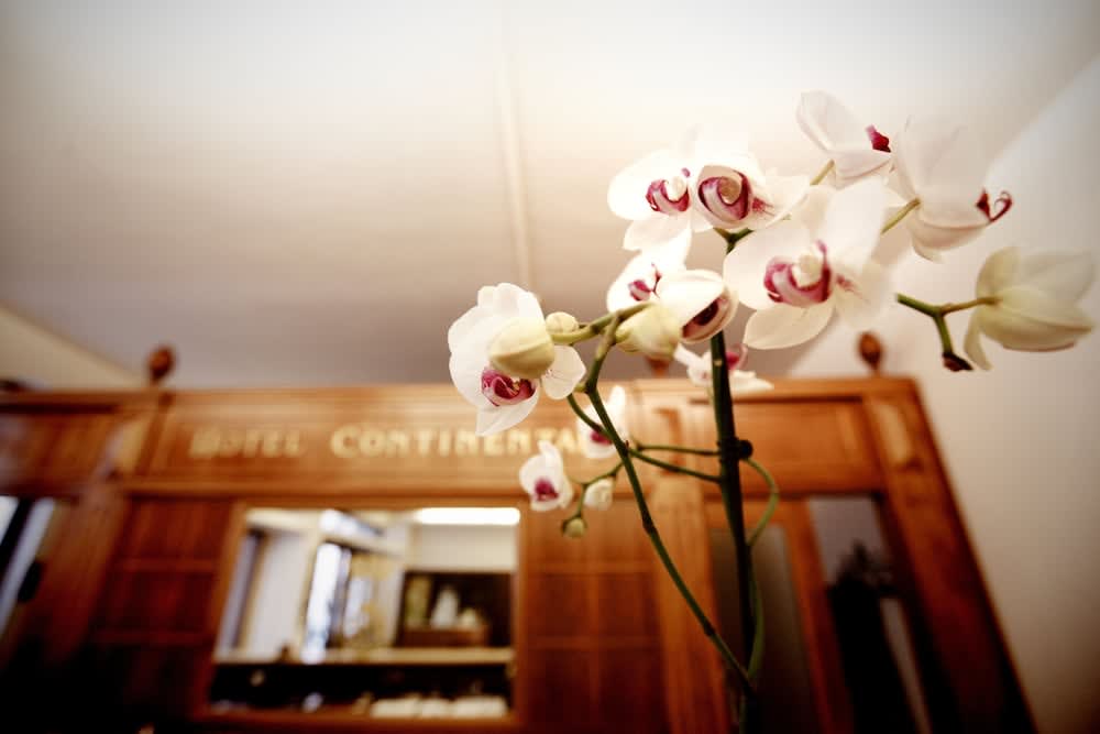 Hotel Continental 2