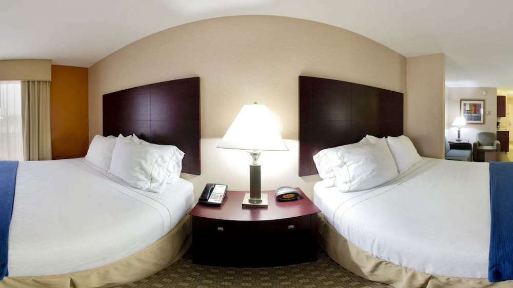 Holiday Inn Express & Suites MCDONOUGH by IHG 2