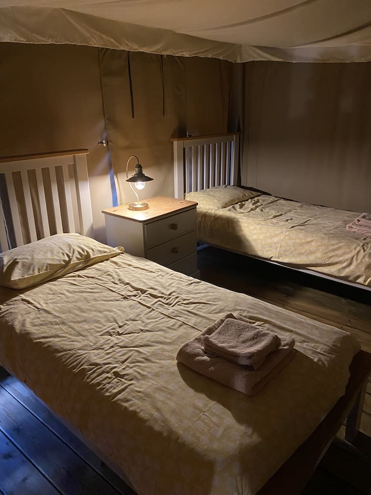 Dawn Chorus Holidays 5