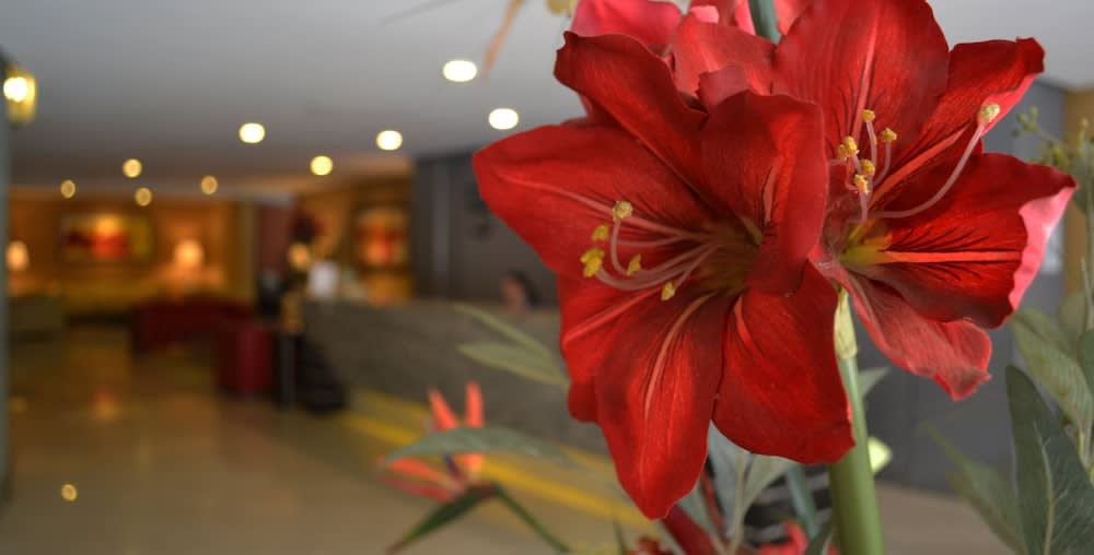 Hotel Alborada 2