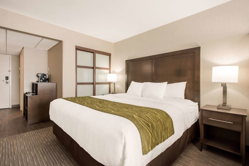 Comfort Inn & Suites 1