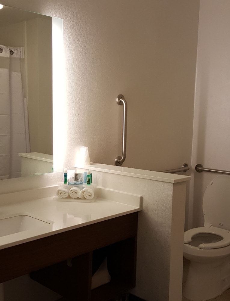 Holiday Inn Express & Suites Toledo West by IHG 4