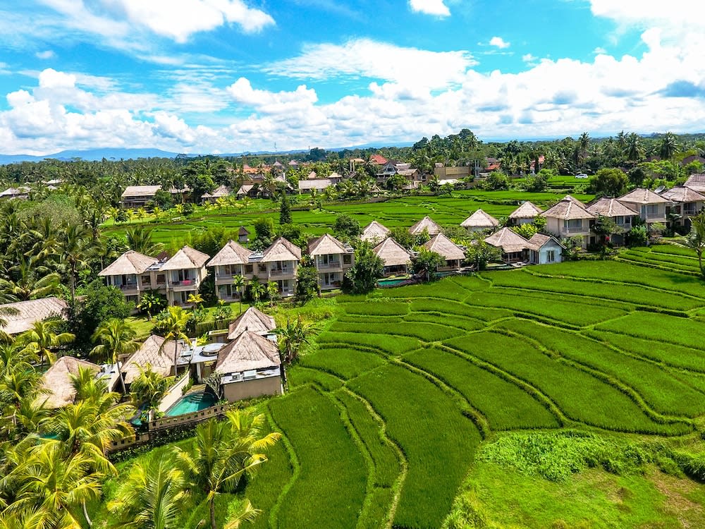 Mesari Hotel Ubud 1
