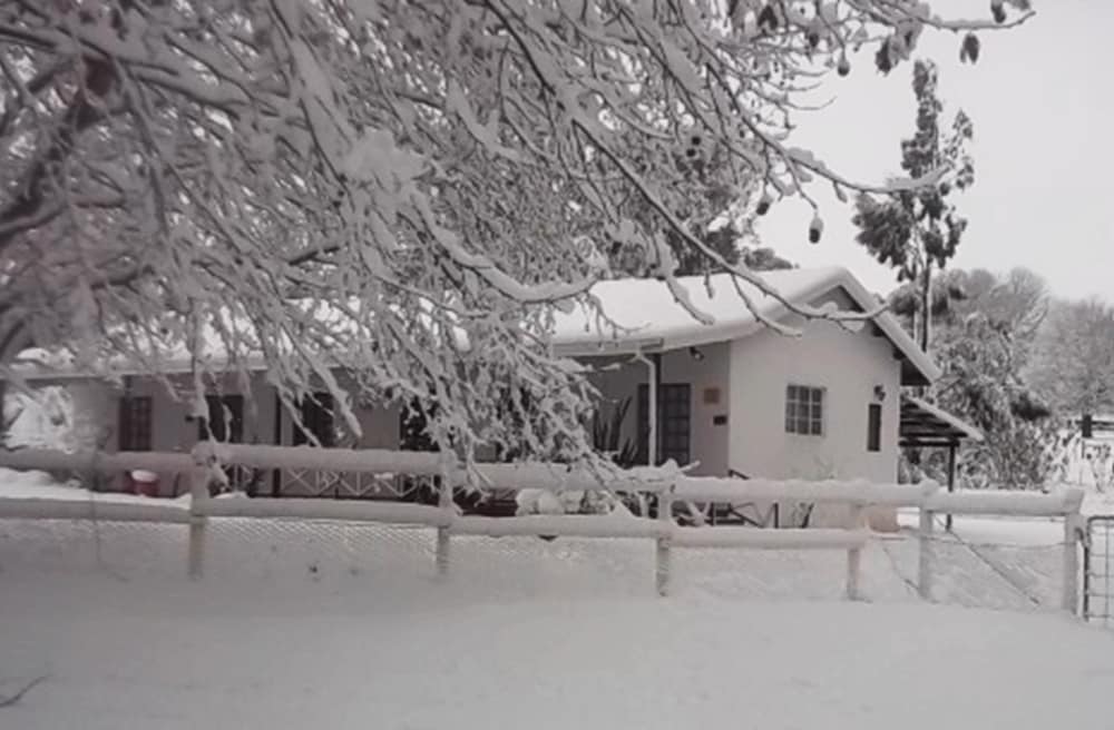 Sycamore Avenue Treehouses & Cottages Accommodation 2