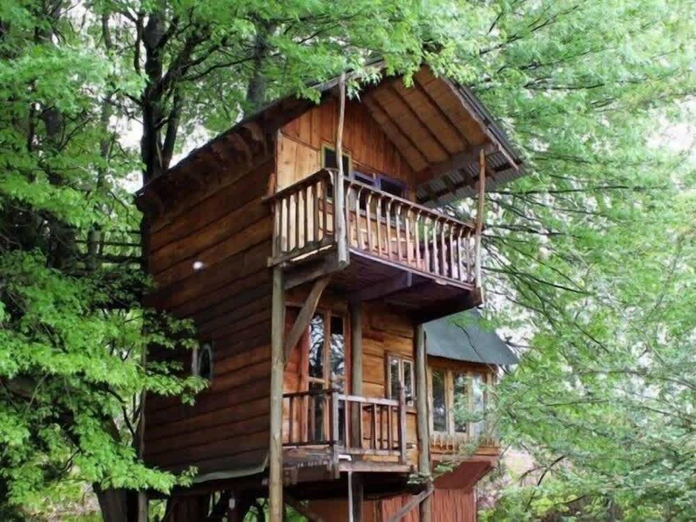 Sycamore Avenue Treehouses & Cottages Accommodation 1