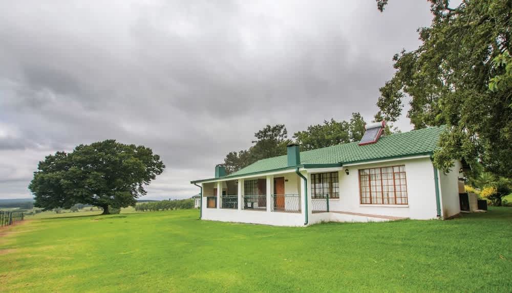 Hoyohoyo Machadostud Lodge 1