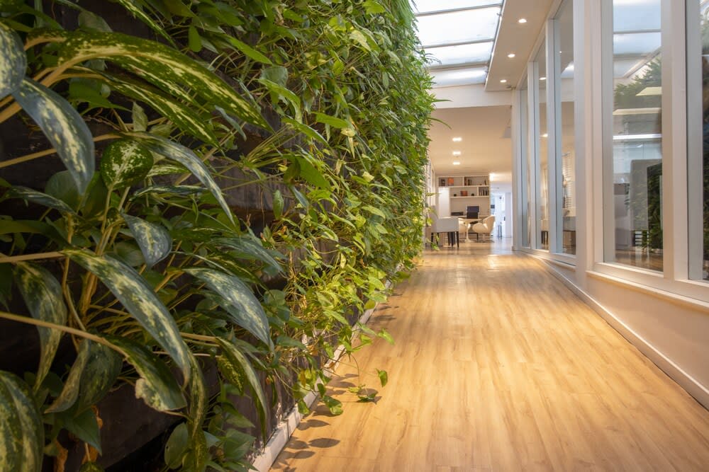 Bossa Nova Ipanema 4