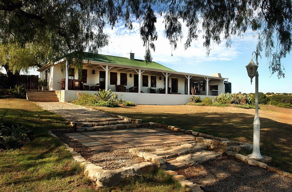 Leeuwenbosch Country House - Amakhala Game Reserve 1