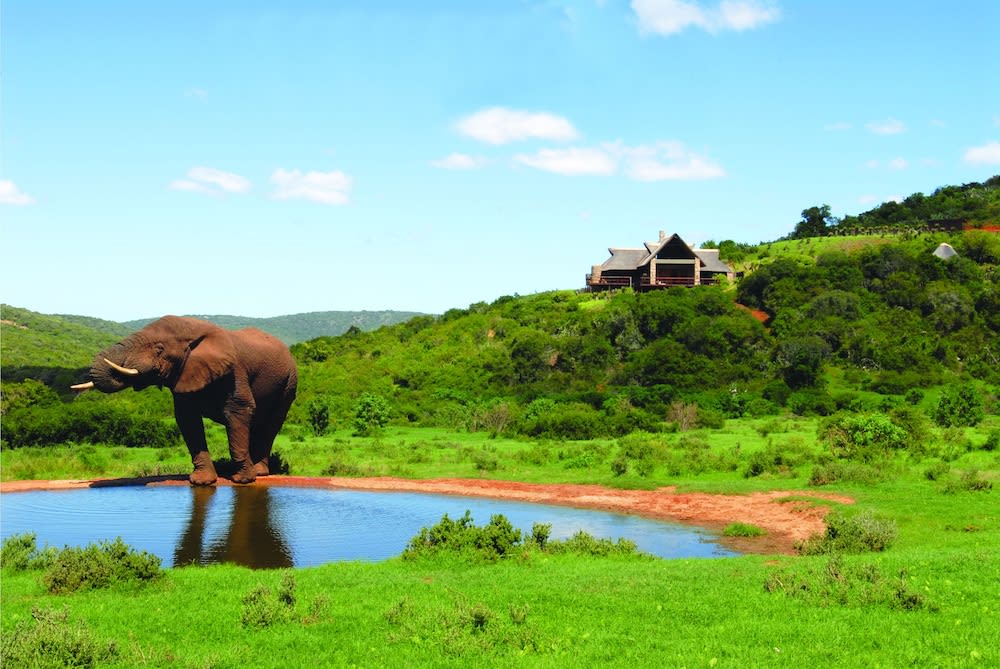 Hopewell Private Game Reserve 1