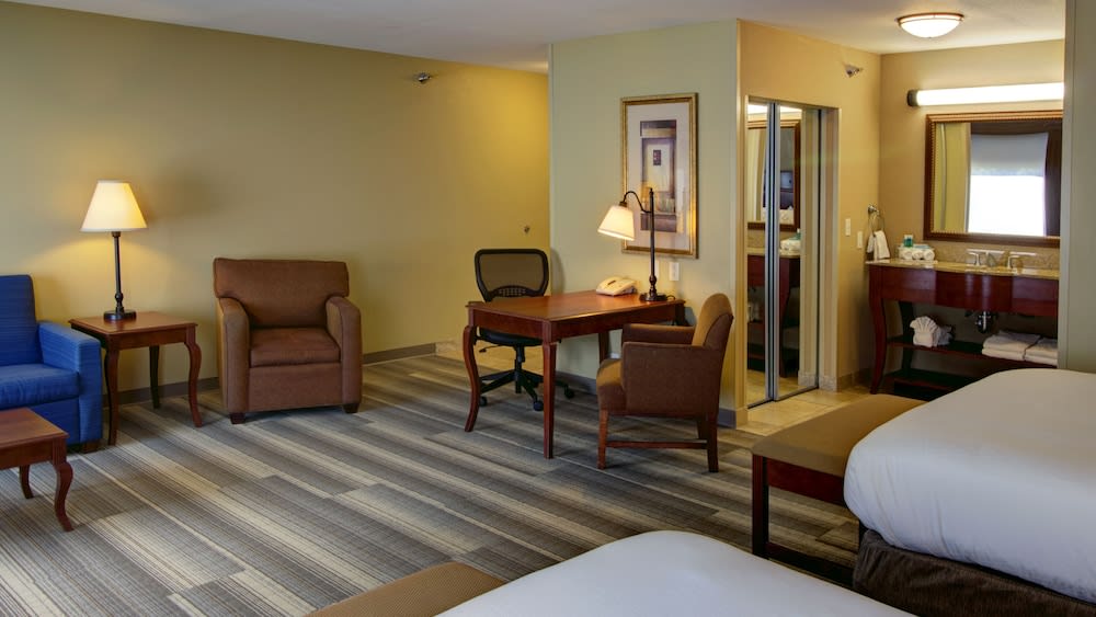 Holiday Inn Express & Suites Sioux City - Southern Hills by IHG 4