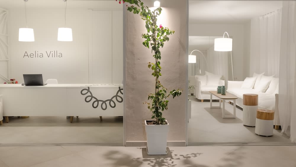 Aelia Villa 2