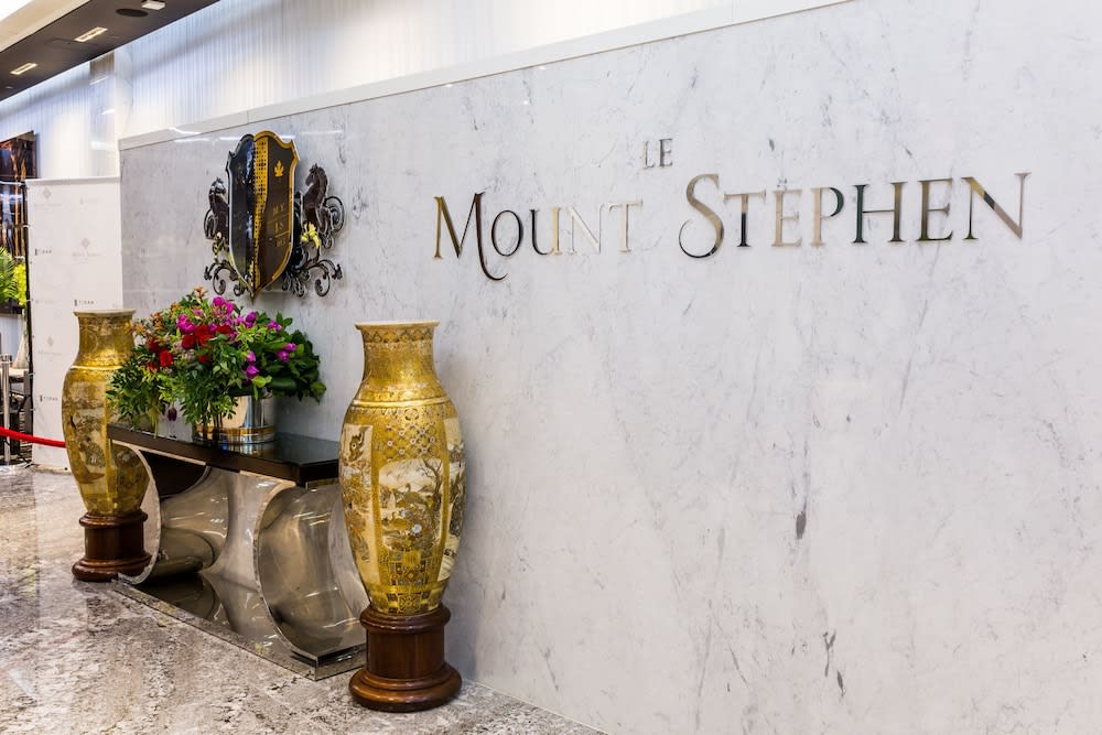 Le Mount Stephen 2