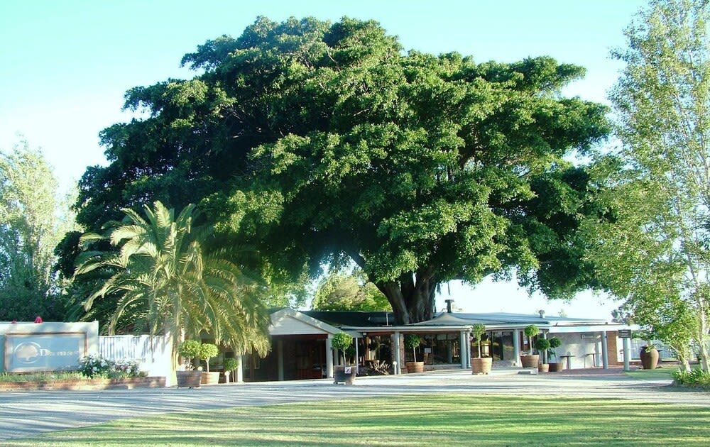 Damas Guest Farm 1