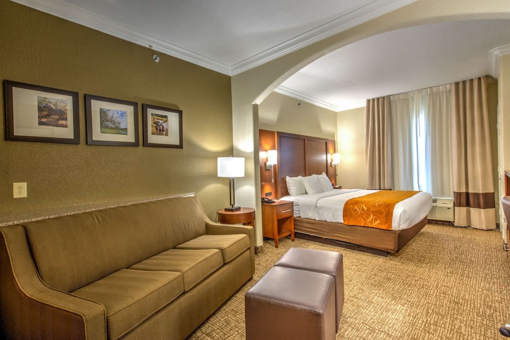 Comfort Suites Tomball Medical Center 4