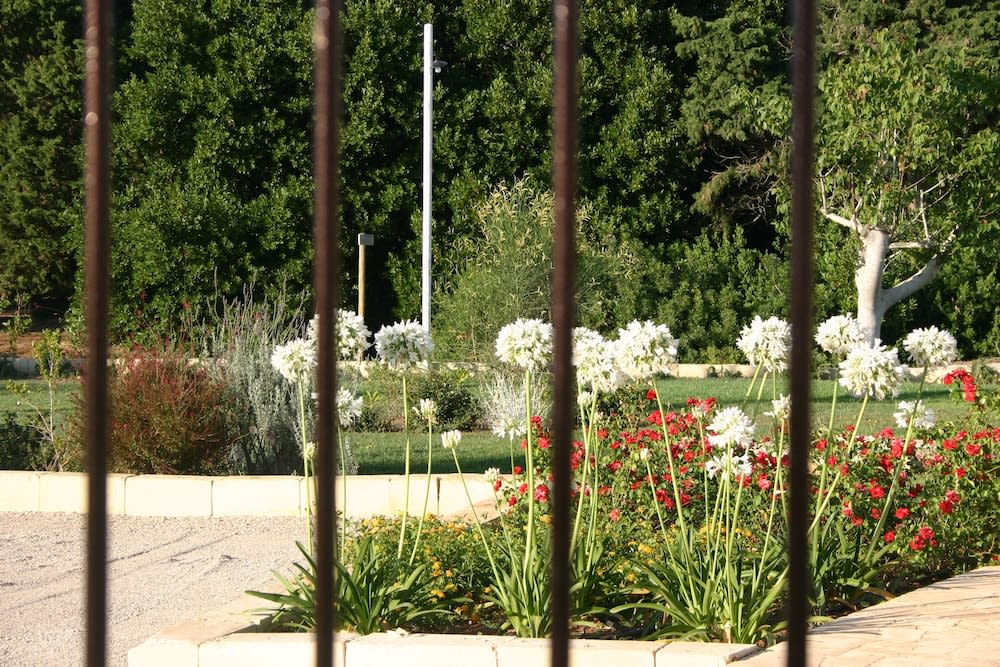 Tenuta Vigna Corallo - Dalia 1