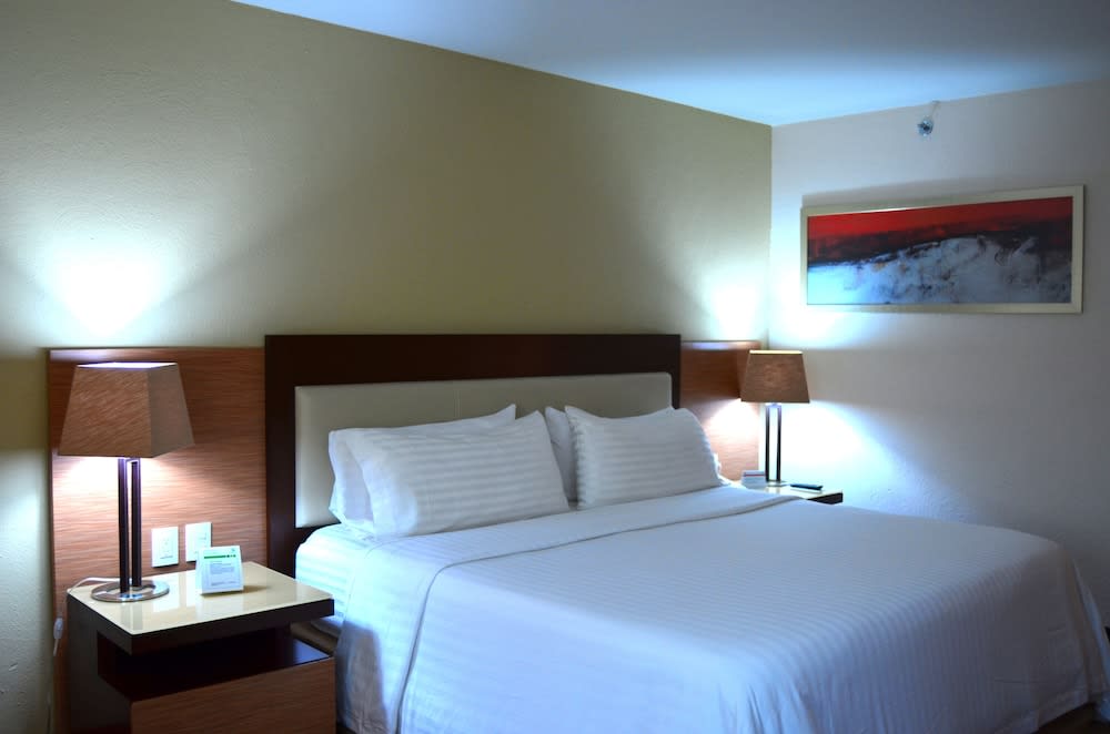 Holiday Inn Select - Guadalajara, an IHG Hotel 2