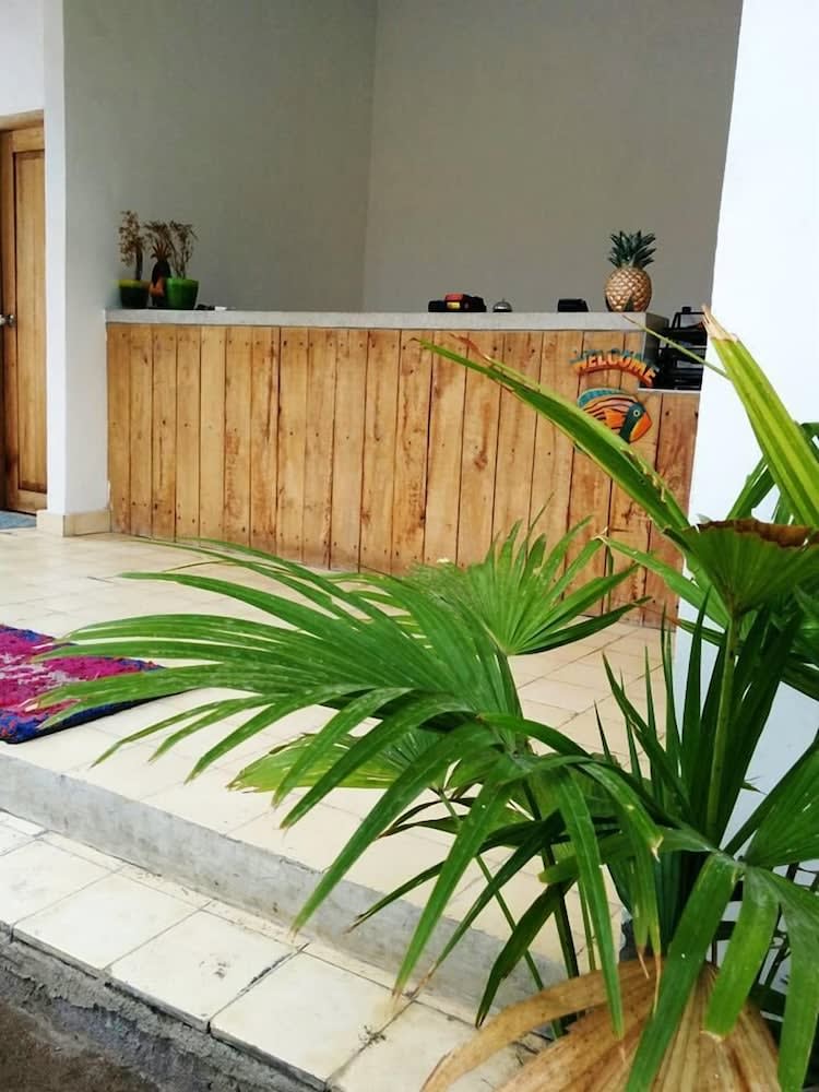 La Favela - Hostel 4