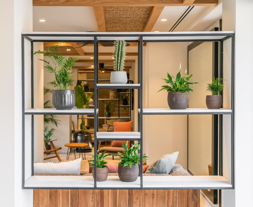 Hotel Eden Nord Soller 5