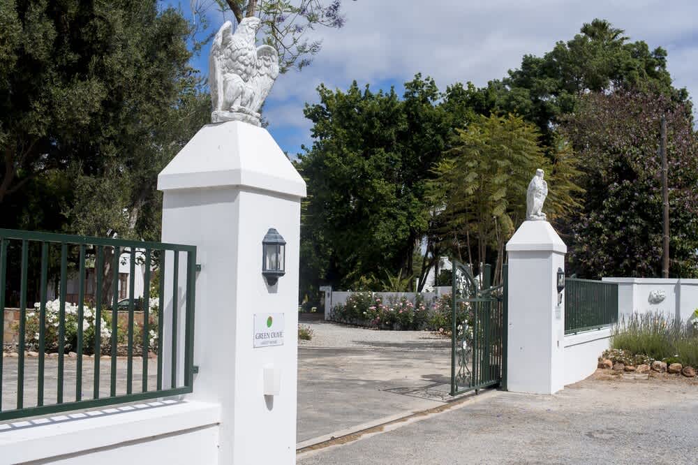 Green Olive Guesthouse 1