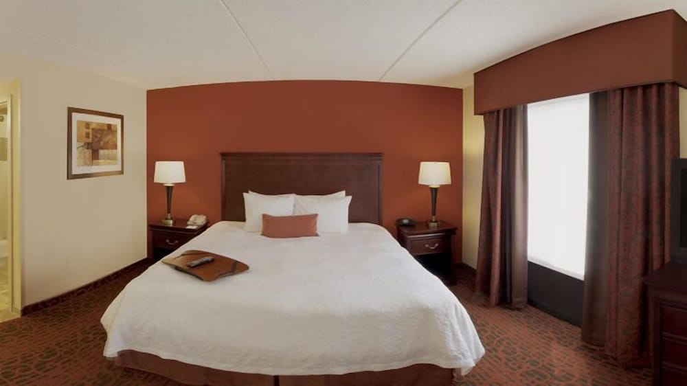 Hampton Inn Rochester Webster 4