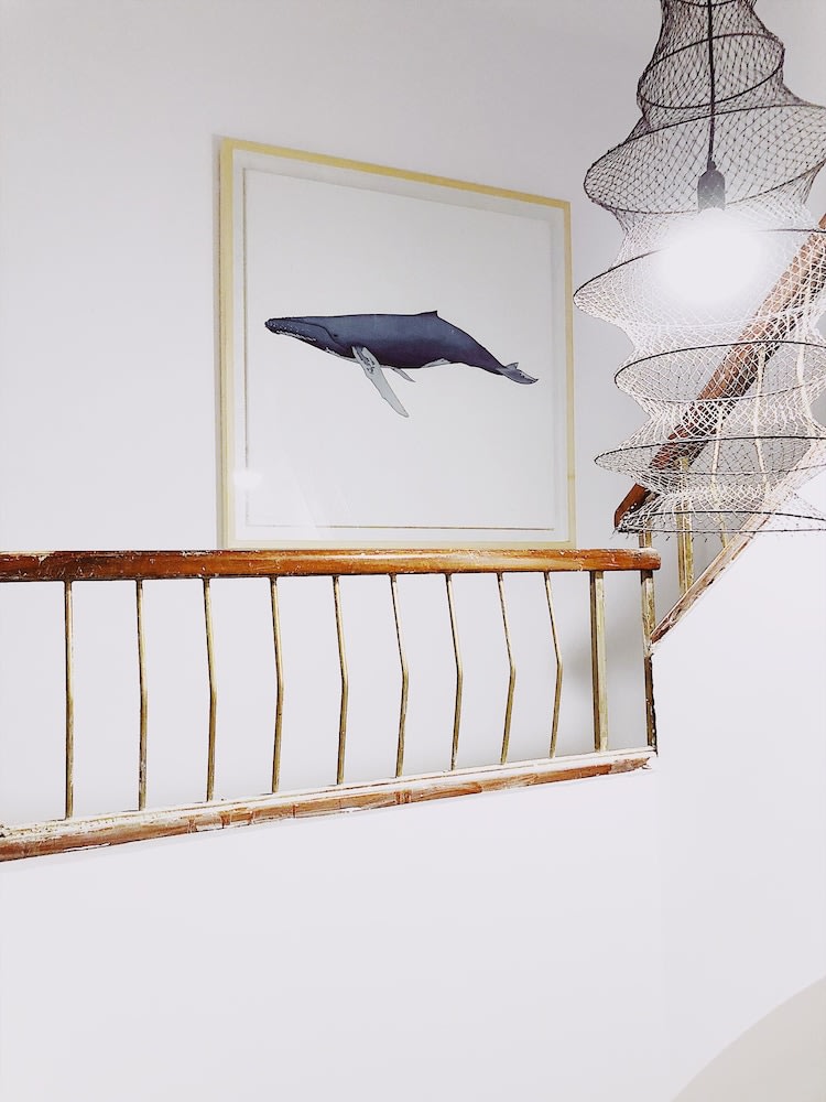 Duna Hotel Boutique 4