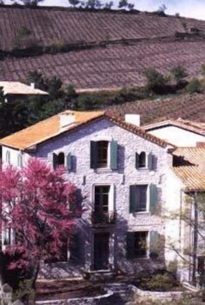 Mas Montluzia 1