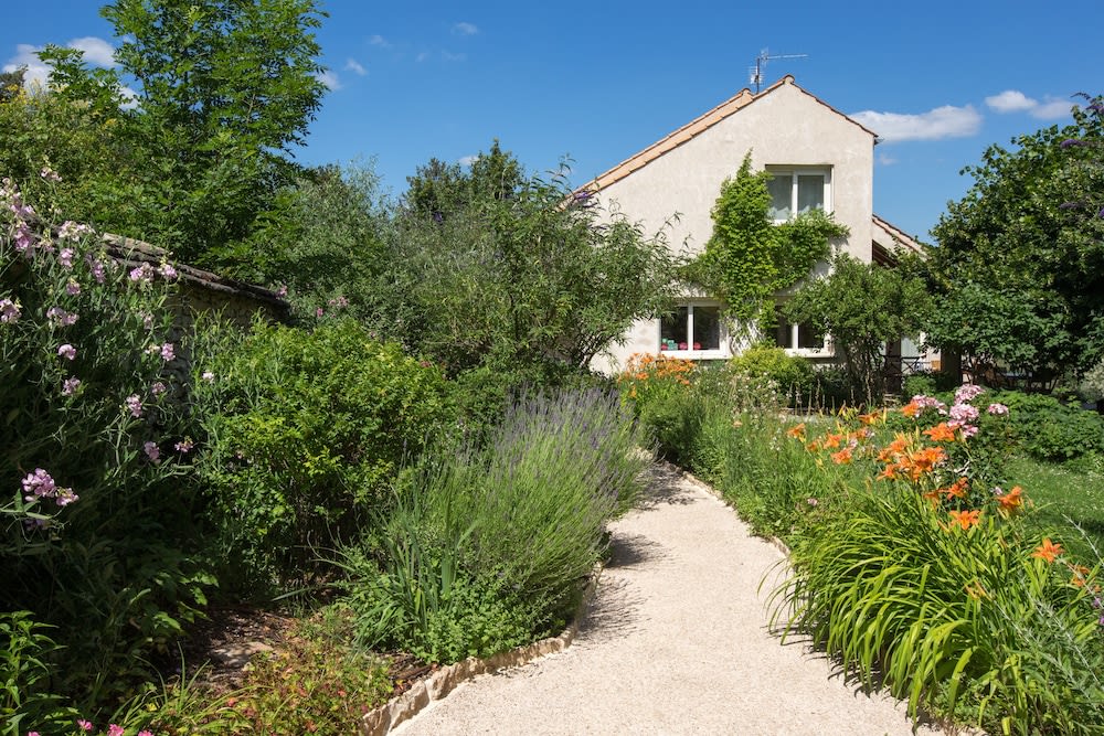 La Terre d'Or 1