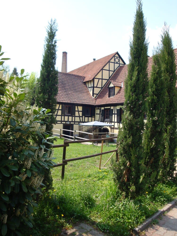 Maison d'hôte Alsace/Domaine du Moulin 1