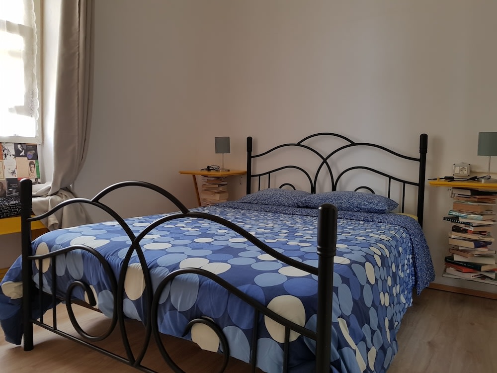 Ratones de Biblioteca 5