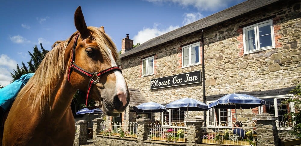 The Roast Ox Inn 1